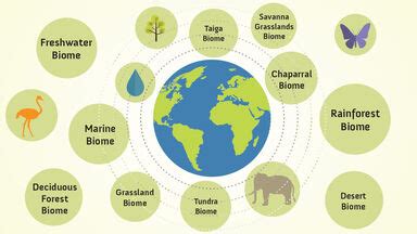 Biomes antonyms .